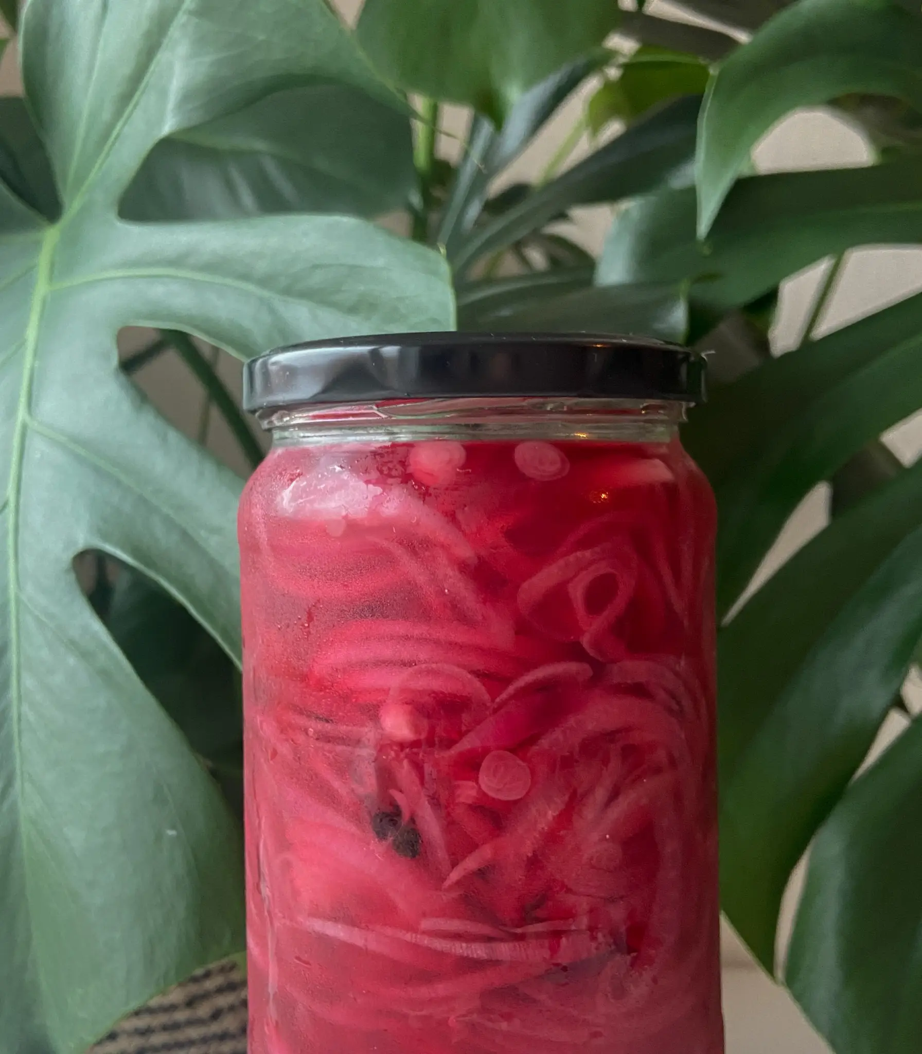 Hjemmelavet syntede roedloeg